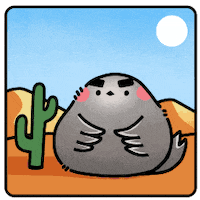 Dolphin What GIF by CGTN V-Studio