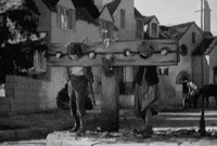 classic film cockeyed cavaliers GIF by Warner Archive