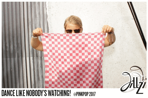 major booth pinkpop 2017 GIF by Jillz