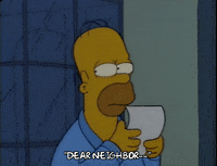 Season 2 Episode 6 GIF by The Simpsons