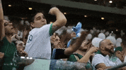 allianz parque GIF by SE Palmeiras