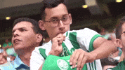 allianz parque GIF by SE Palmeiras