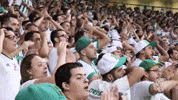 allianz parque GIF by SE Palmeiras