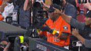 Houston Astros Sport GIF by MLB