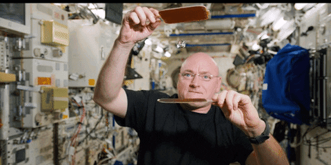 iss GIF