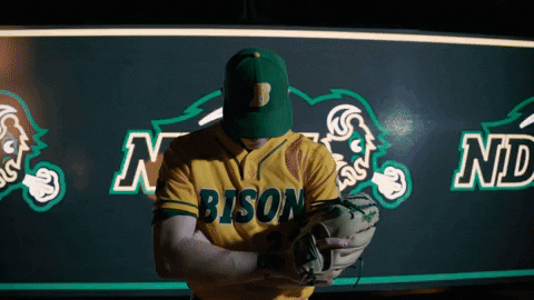 Ndsu Baseball GIF by NDSU Athletics