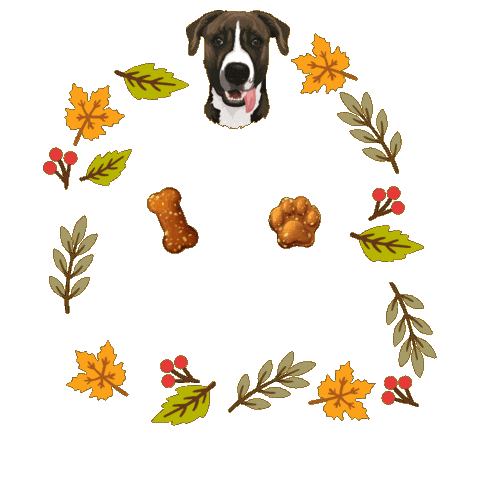 Dog Food Sticker by Snacks Homemade Treats