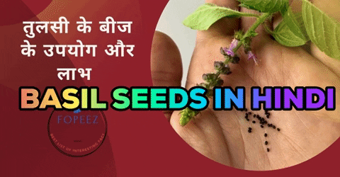 sudeshnararhi giphygifmaker basil seeds basil seeds in hindi holy basil seeds GIF