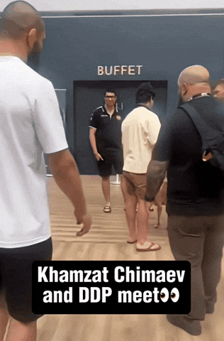 giphy.gif