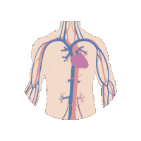 Heart Medicine Sticker by Lecturio Medical