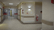 Bahar GIF by Show TV