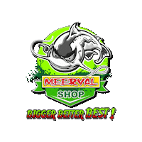 meervalshop fishing catfish waller silure Sticker