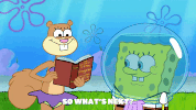 episode 1 GIF by SpongeBob SquarePants
