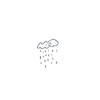 Rain Sticker