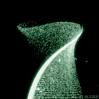 tail whip GIF by Pi-Slices