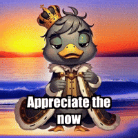 Wisdom Gratitude GIF by sirduckbeth