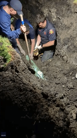 Workers Dig for Hours to Rescue Dog Who Fell Into Storm Drain