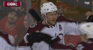 ice hockey sport GIF by Colorado Avalanche