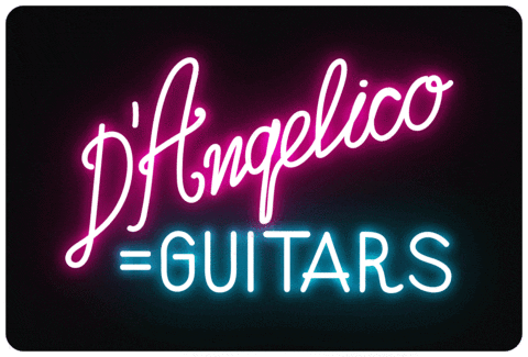 dangelicoguitars giphyupload music summer rock GIF