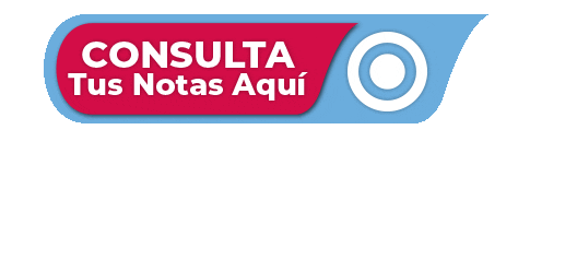 escut giphyupload Sticker