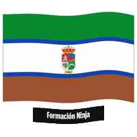 Bandera Malaga Sticker by Formación Ninja