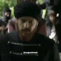 Kopek Hain GIF