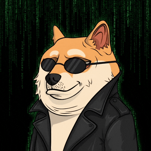 Shiba Inu Illustration GIF by Doge Pound