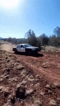 Ford Crown Victoria GIF