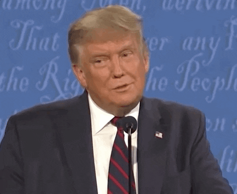 Political gif. Donald Trump stands in front of a microphone at a presidential date. He chuckles a little with a smug smirk on his face and then licks his lips. He lifts his eyebrows and nods a little in a surprised moment of agreement.