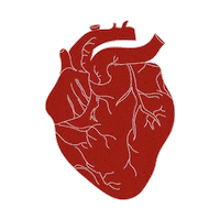 Heart Love Sticker
