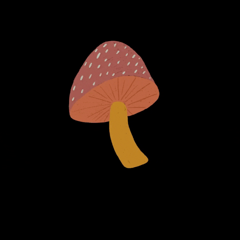 color_guayaba giphyupload GIF