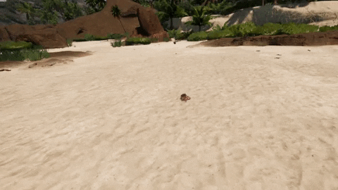 Bootstrapisland giphygifmaker GIF