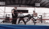 pro wrestling fighting GIF by Brimstone (The Grindhouse Radio, Hound Comics)