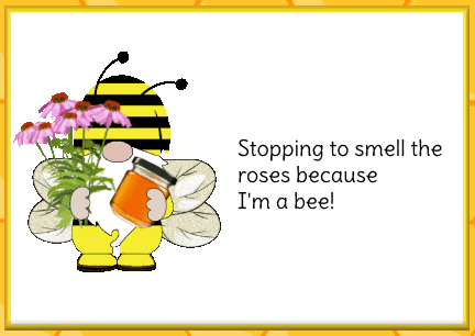 Bumble Bee Honey GIF