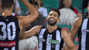 #collingwood #collingwoodfc #collingwoodmagpies #magpies #alexfasolo #goalcelebration #highfives GIF by CollingwoodFC