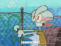 season 5 GIF by SpongeBob SquarePants