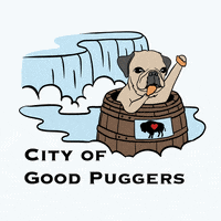 Falls New York GIF