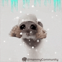 Girl Hat GIF by Sad Hamster