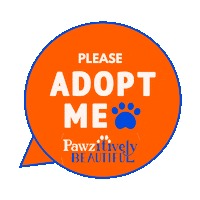 Cat Adopt Sticker by Pawzitively Beautiful