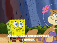 season 4 whale of a birthday GIF by SpongeBob SquarePants