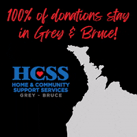 HCSSGREYBRUCE donate hcss hcssgreybruce GIF
