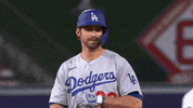 Los Angeles Sport GIF by MLB