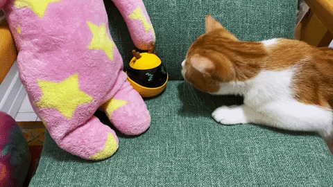 giphygifmaker GIF