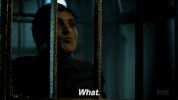 fox broadcasting what GIF by Gotham