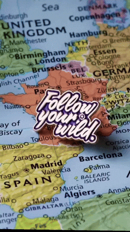 Adventure Travel GIF by CGTraveler - Carlos Garrido - Adventrgram