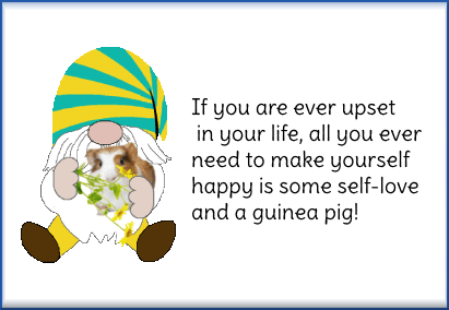 Guinea Pig Gnome GIF