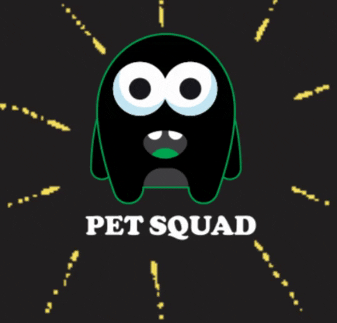 petsquad giphygifmaker giphyattribution petsquad GIF