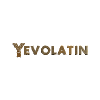 YEVOLATIN dj yoyo sanchez yoyo sanchez yevolatin curve yevolatin Sticker