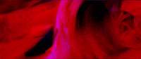 Dance Clubbing GIF by DEX EXPERIENCE