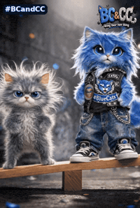 BCandCC best friends funny cats playground cat gif GIF